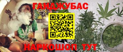 крисы Краснознаменск