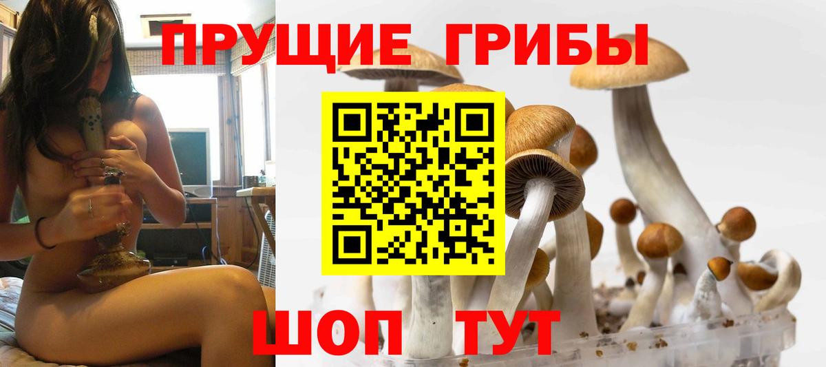 Псилоцибиновые грибы Cubensis  Вход с VPN  Коломна 
